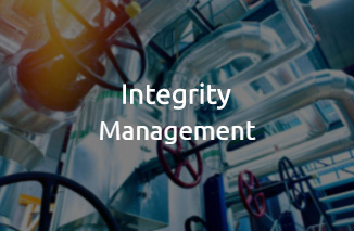 Integrity Management